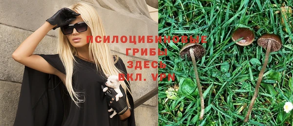 прущая мука Алзамай
