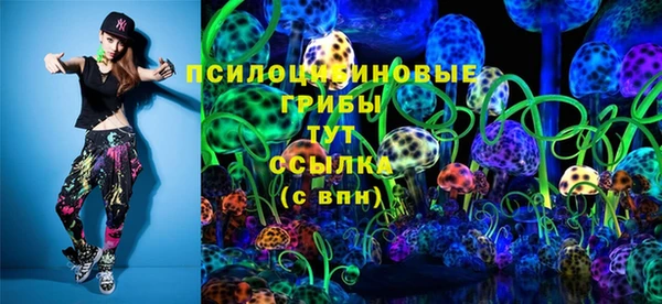 дмт Алексин