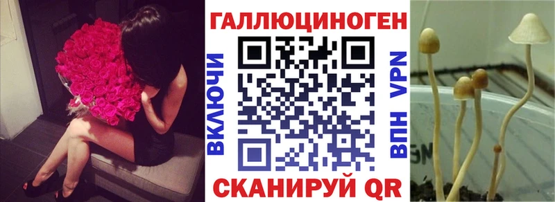 МЕГА онион Истра Псилоцибиновые грибы MAGIC MUSHROOMS
